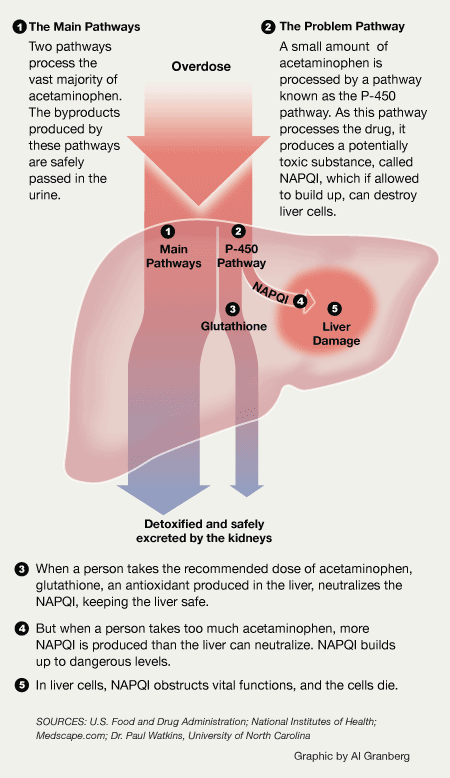 can prednisone cause kidney damage